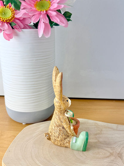 Jasper bunny with House Plant
