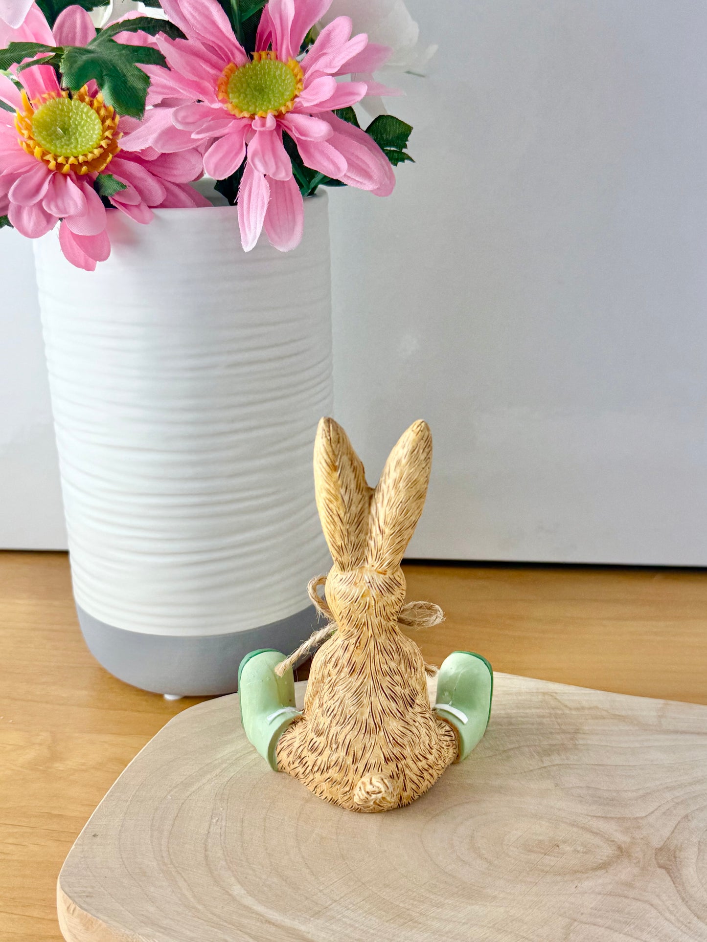 Jasper bunny with House Plant