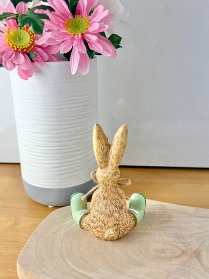 Jasper bunny with House Plant