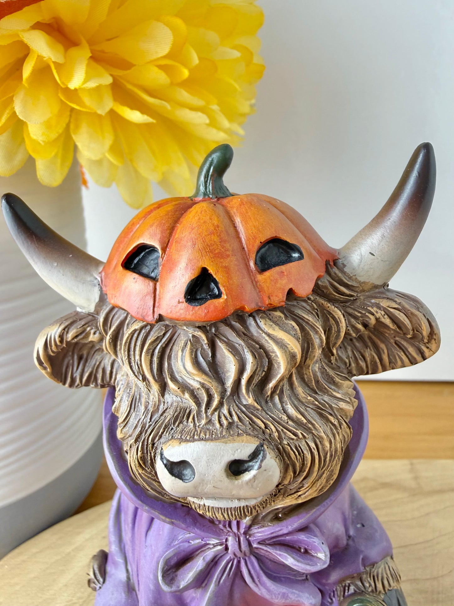 Highland Cows - Halloween Spooky Costumes