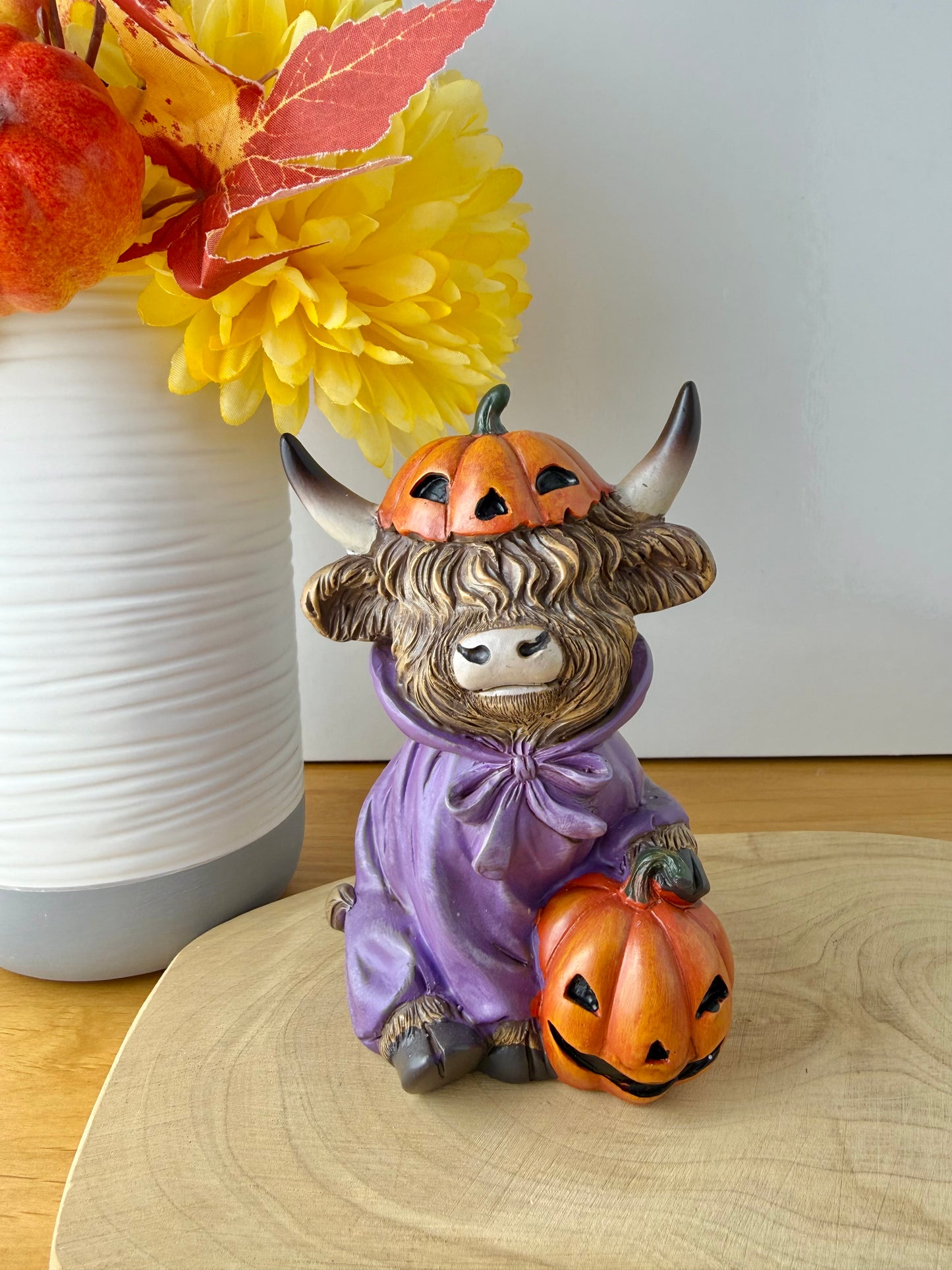 Highland Cows - Halloween Spooky Costumes