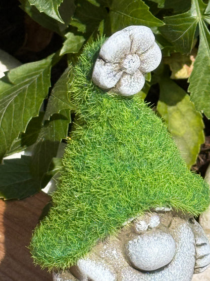 Small grassy garden gonk