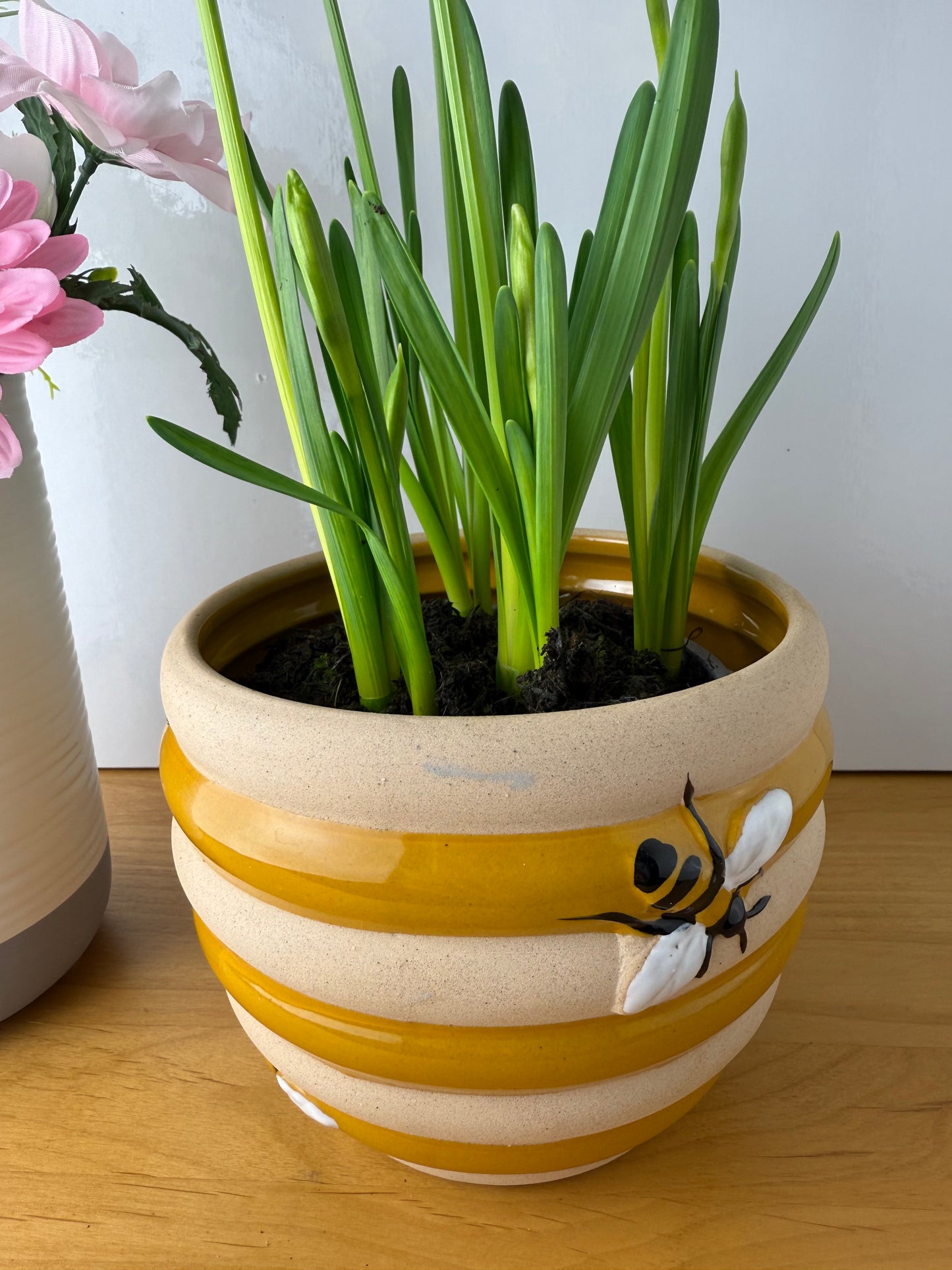 Beehive Stoneware Planters - 3 sizes