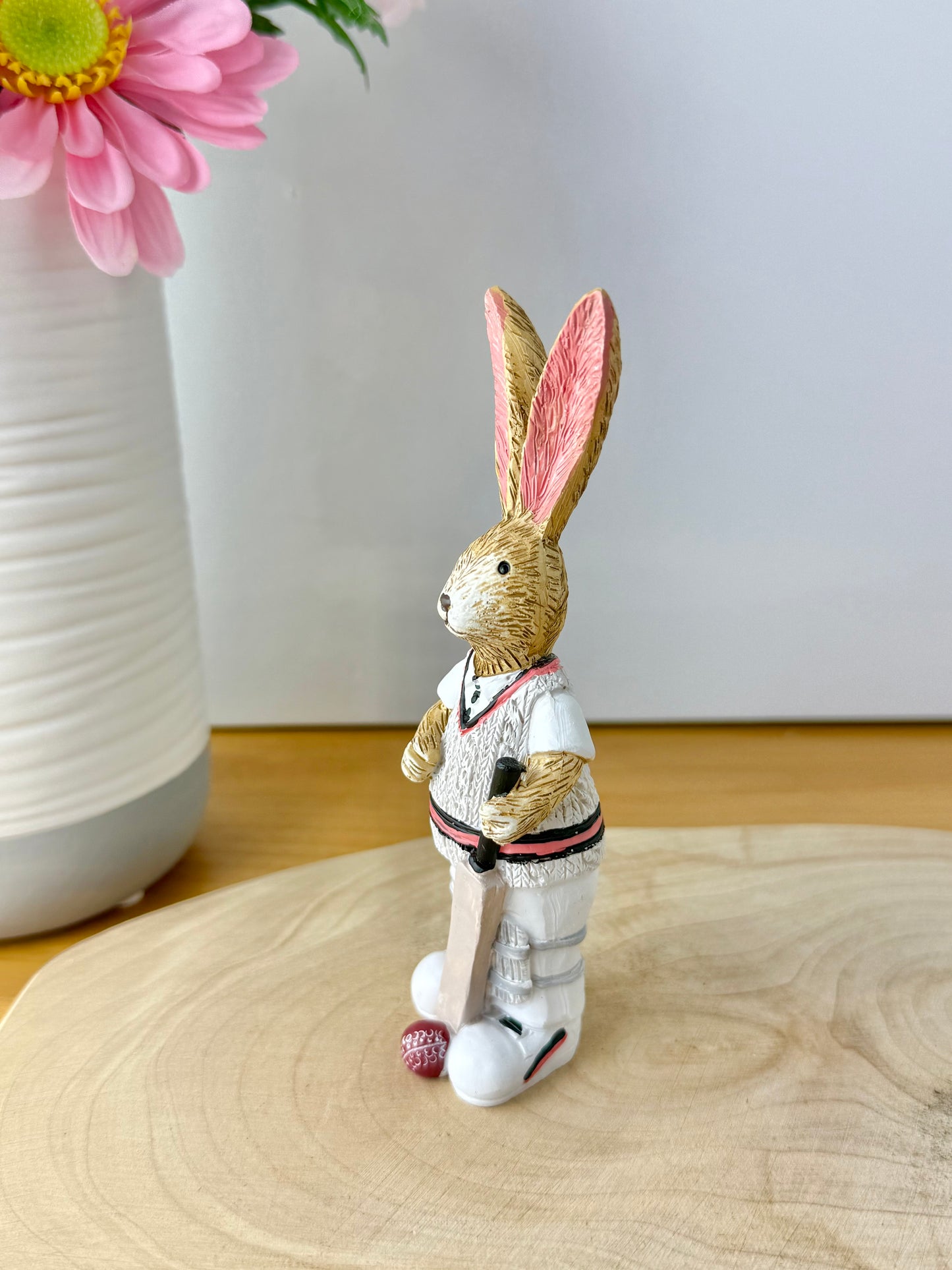 Jasper Rabbit the Cricketer