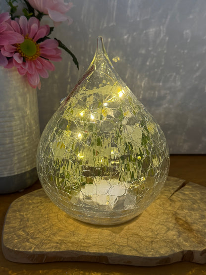 Blossom and Bloom hand painted Dragonfly glass teardrop with LED lights