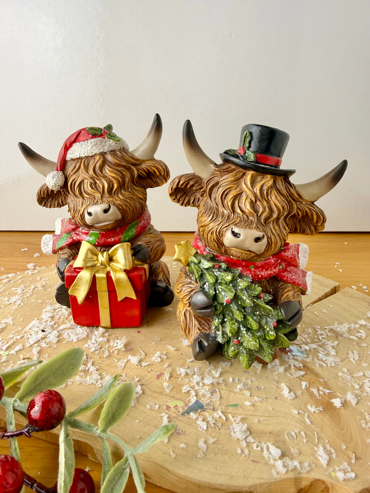 Highland Cows - Holding Christmas Tree or Present