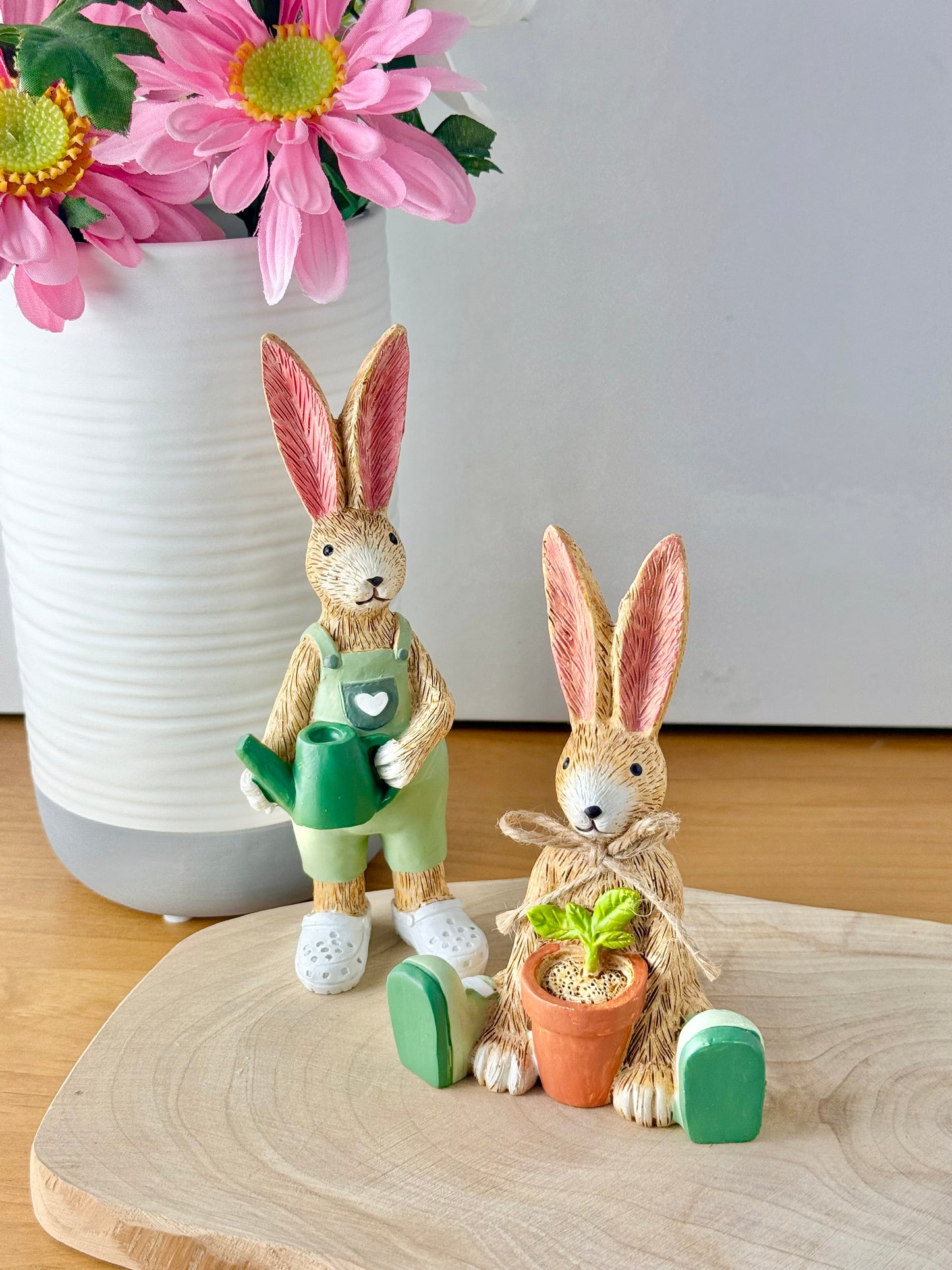 Jasper bunny with House Plant