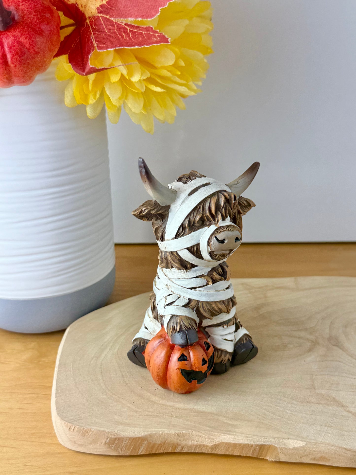 Highland Cow - Halloween Fancy Dress