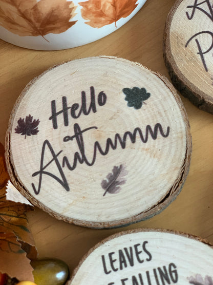 Set of 4 log slice Autumn coasters