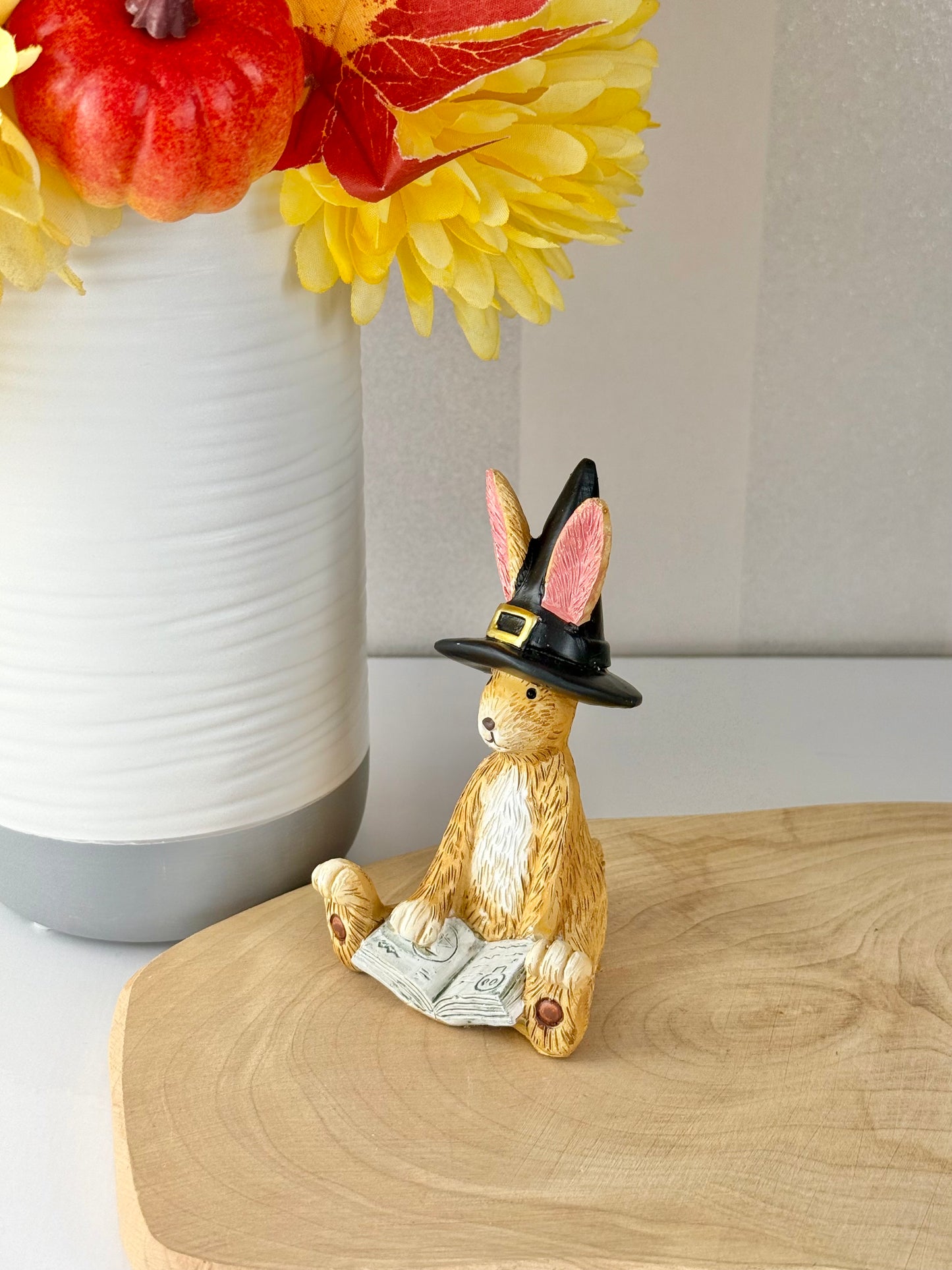 Jasper Rabbit Hocus Pocus