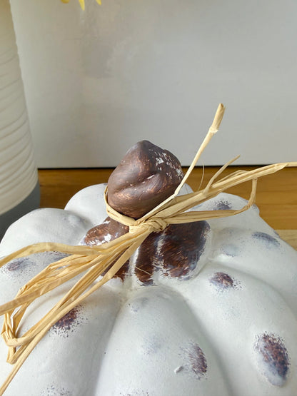White textured pumpkins with rattan bow - Set of 2