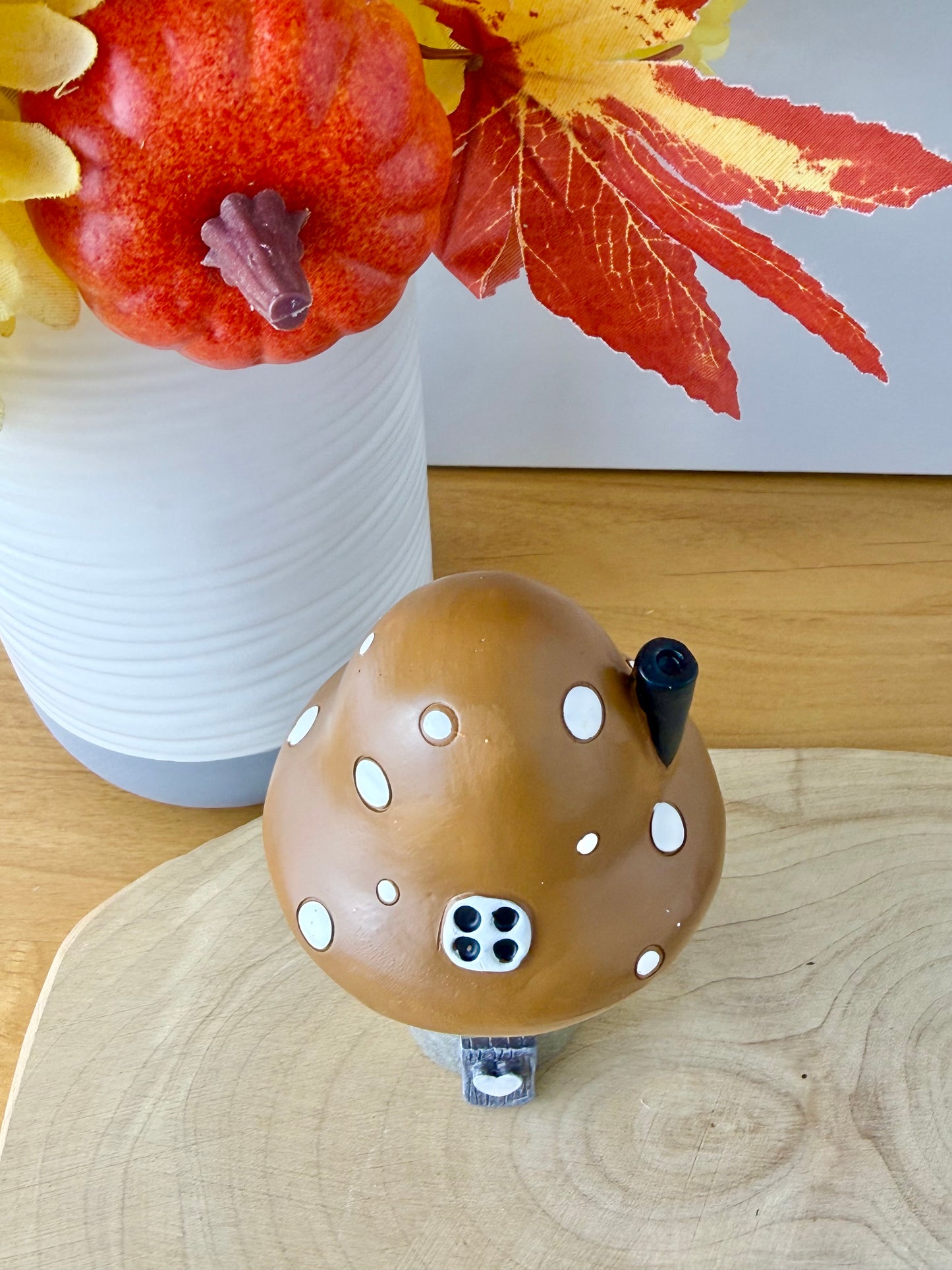 Brown Mushroom House
