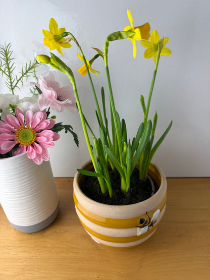 Beehive Stoneware Planters - 3 sizes