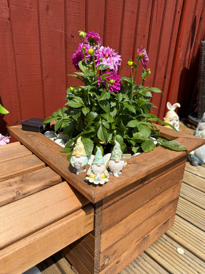 Set of 3 small Gnomes