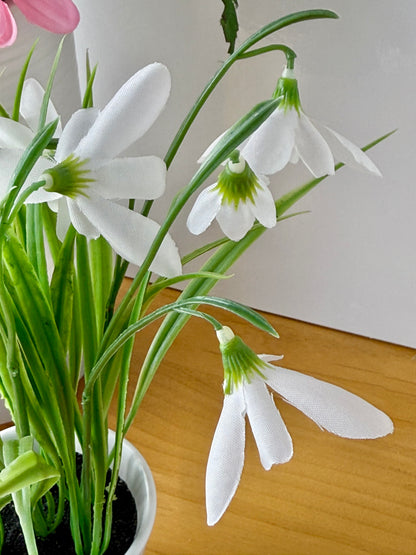 Snowdrops Plant pot