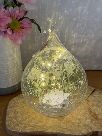 Blossom and Bloom hand painted Dragonfly glass teardrop with LED lights