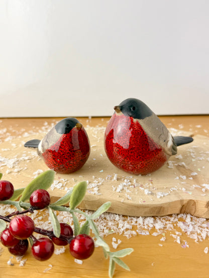 Pair of Robins with bright red chest