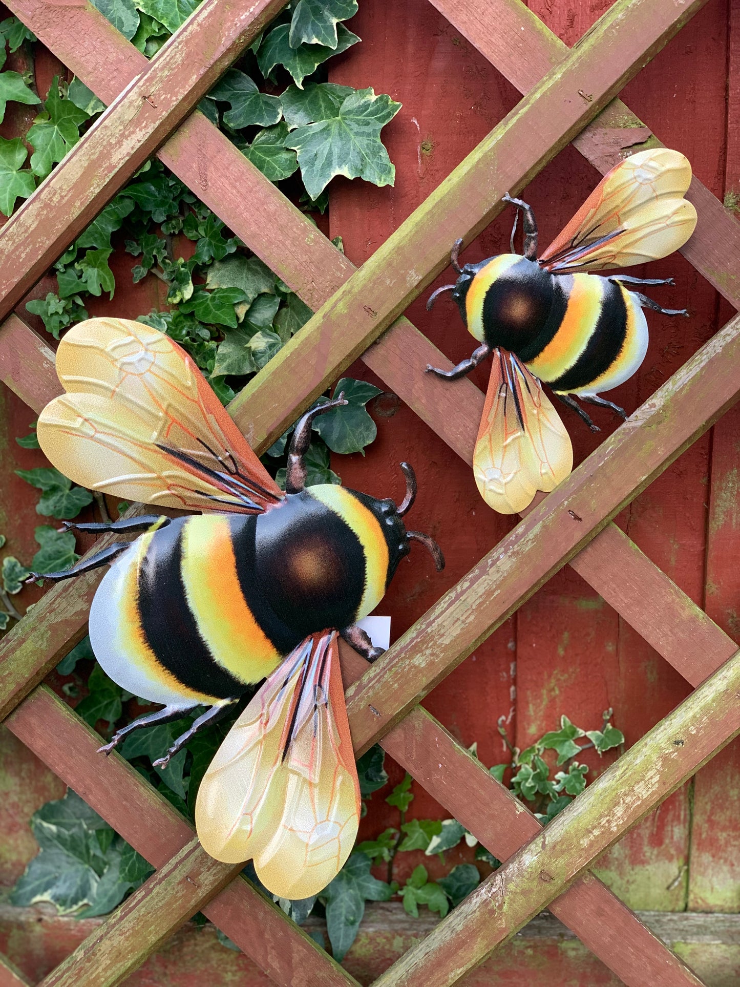Bumble Bee - Medium