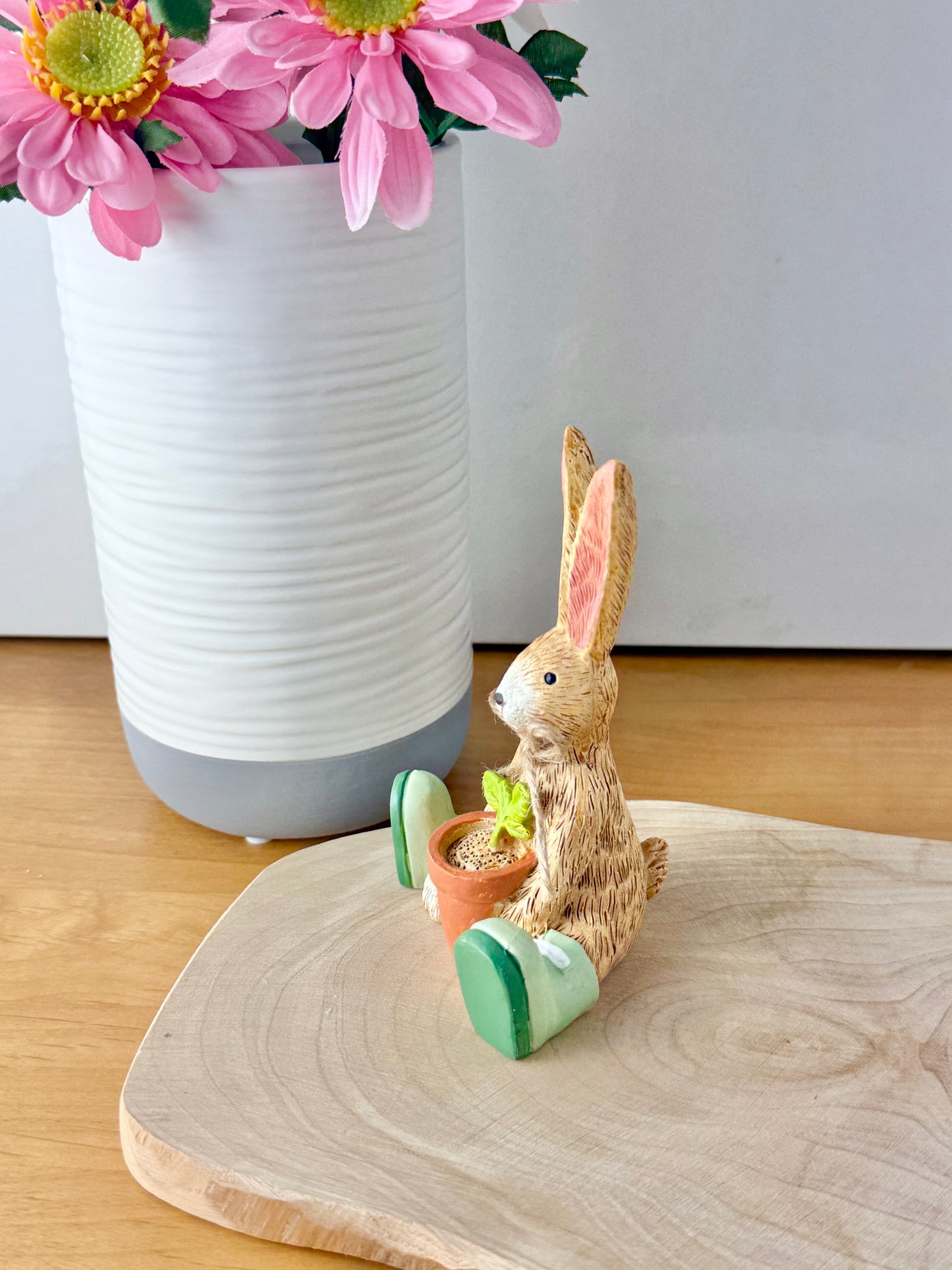 Jasper bunny with House Plant