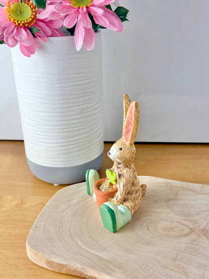 Jasper bunny with House Plant