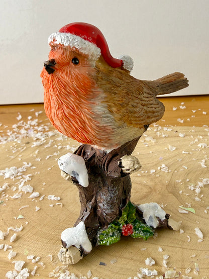 Robin sat on top of a Tree Branch