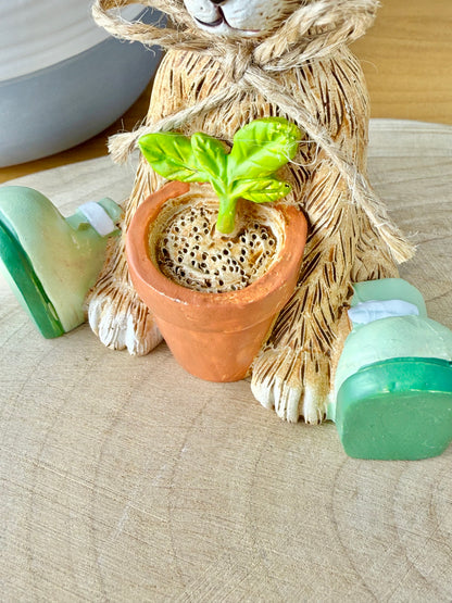 Jasper bunny with House Plant